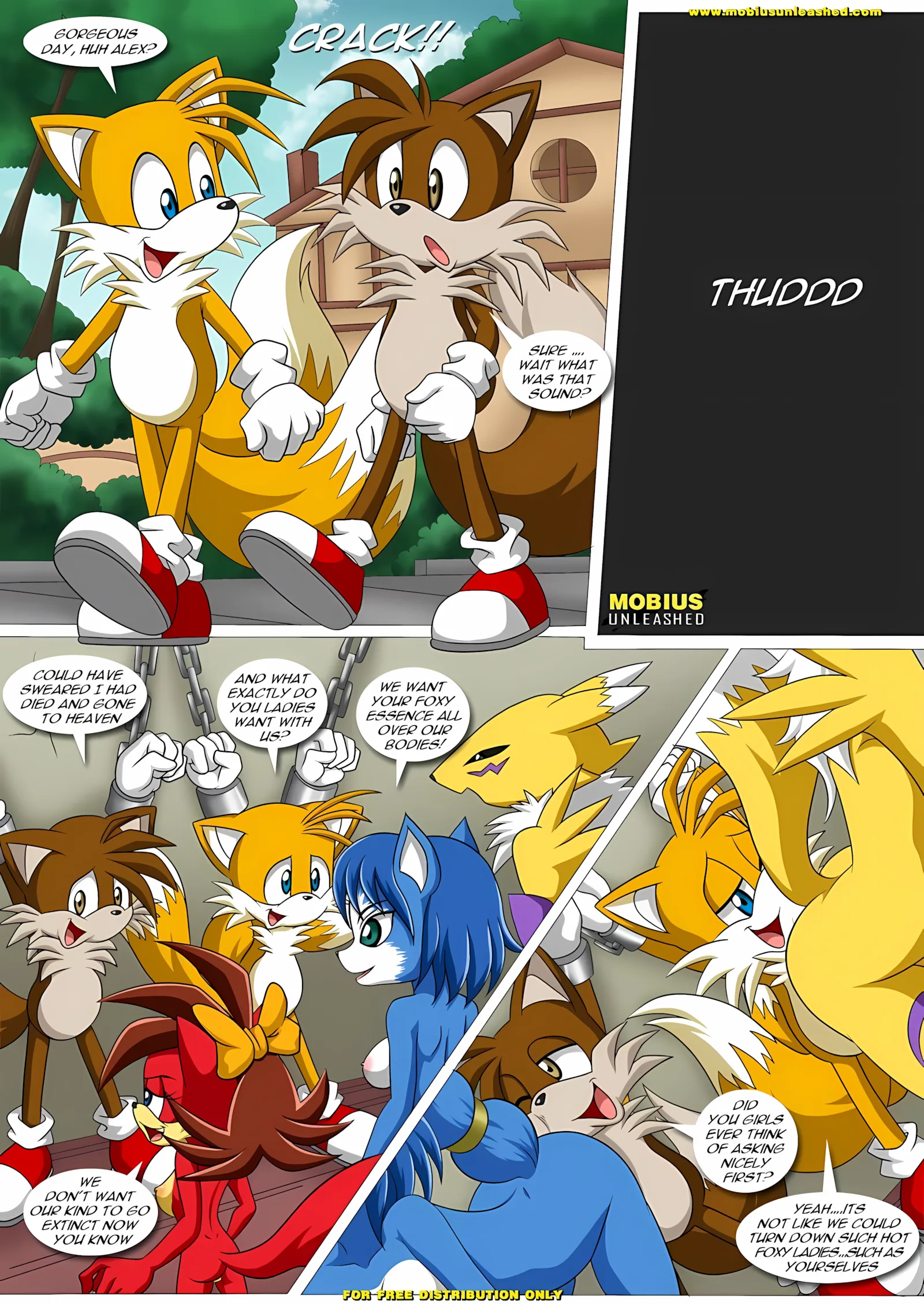 FoXXXes (Star Fox , Sonic the Hedgehog) [Palcomix], 2 . FoXXXes - Chapter 2 (Star Fox , Sonic the Hedgehog) [Palcomix], page 2 of 11